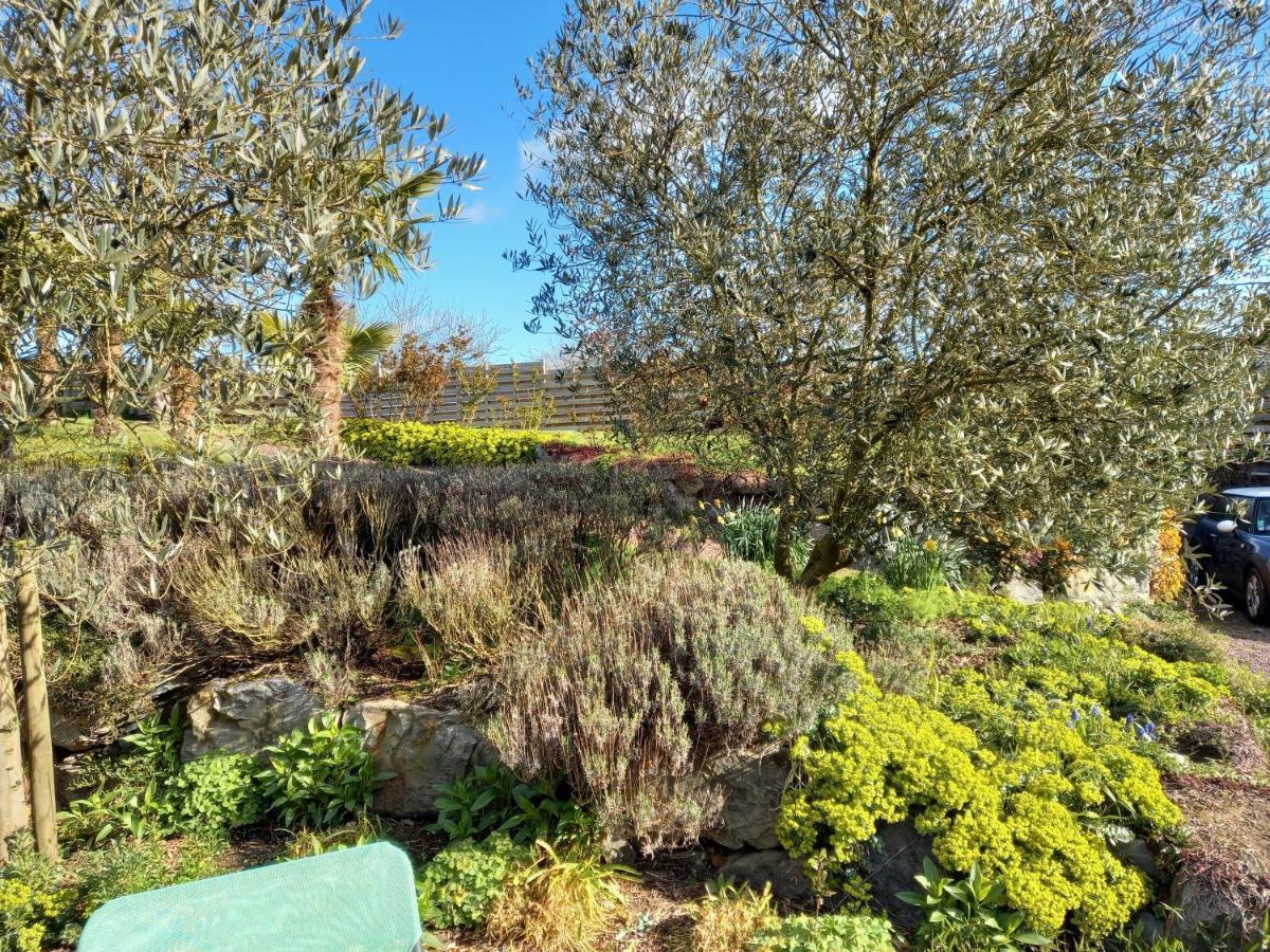 Havre De Paix Et Jardin Tropical. Chambre Privee Le Rheu Exterior foto
